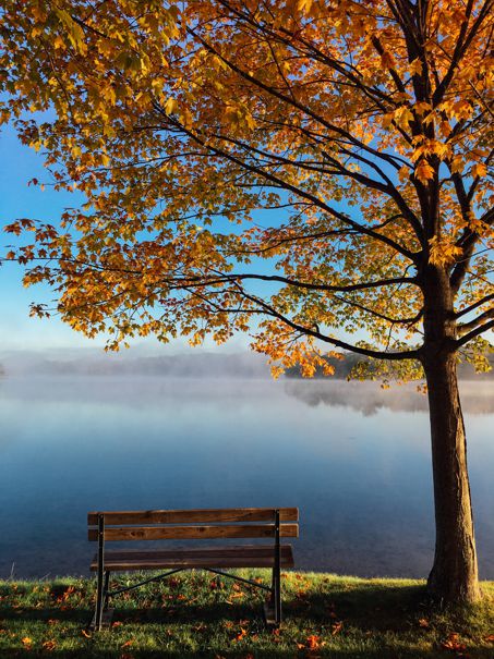 Bench overlooking lake